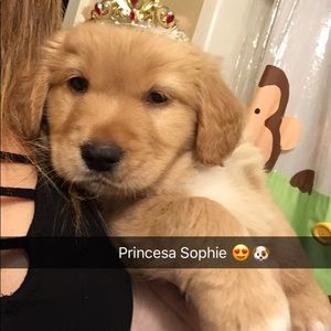 Meet your Posher, Erika